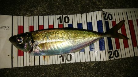 潮目の変化を捉えて